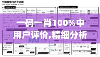 一码一肖100%中用户评价,精细分析解释定义_免费版19.846-4