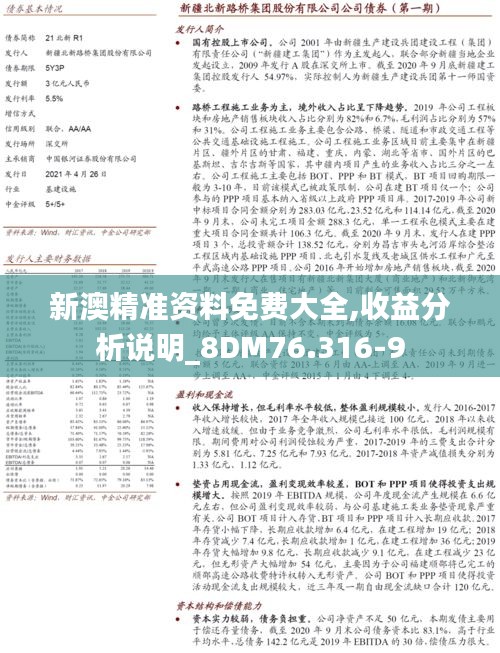 新澳精准资料免费大全,收益分析说明_8DM76.316-9