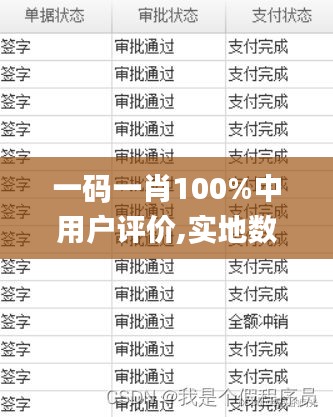 一码一肖100%中用户评价,实地数据评估策略_ChromeOS42.983-4