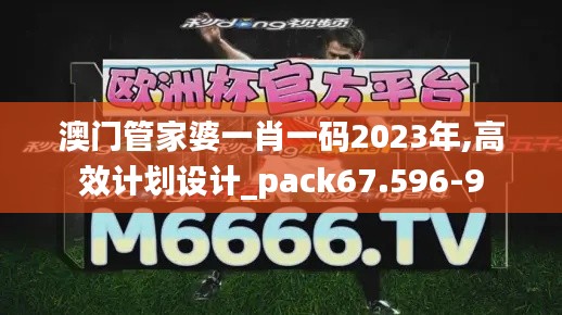 澳门管家婆一肖一码2023年,高效计划设计_pack67.596-9