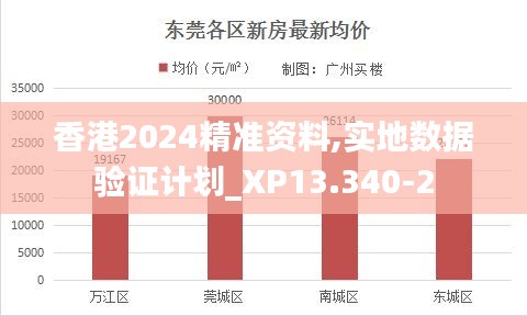 香港2024精准资料,实地数据验证计划_XP13.340-2