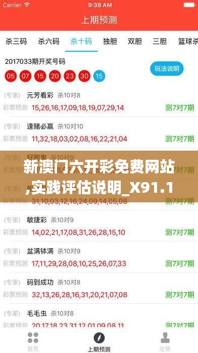 新澳门六开彩免费网站,实践评估说明_X91.147-1