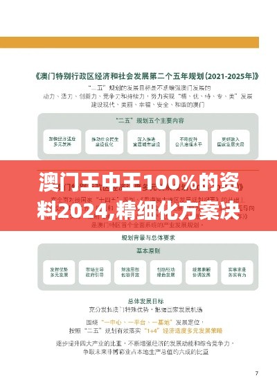 澳门王中王100%的资料2024,精细化方案决策_VSL93.992设计师版