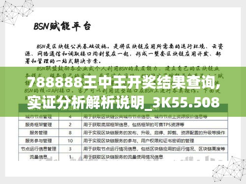 788888王中王开奖结果查询,实证分析解析说明_3K55.508-1