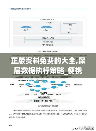 正版资料免费的大全,深层数据执行策略_便携版TAI1.11