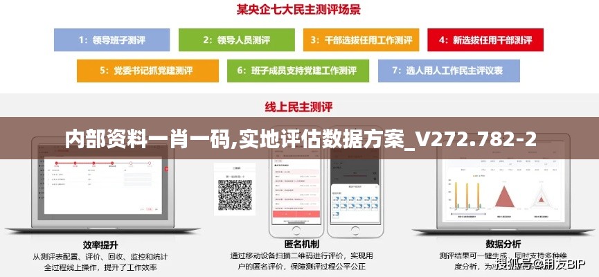 内部资料一肖一码,实地评估数据方案_V272.782-2