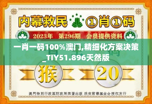 一肖一码100%澳门,精细化方案决策_TIY51.896天然版