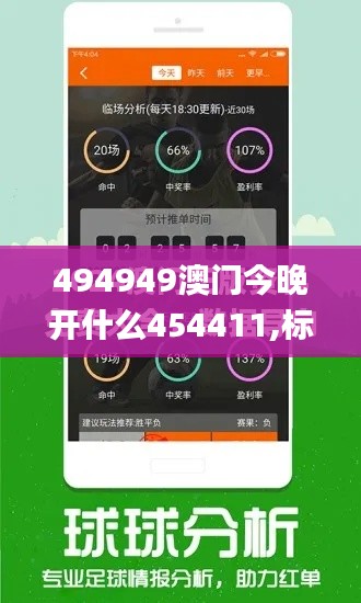 494949澳门今晚开什么454411,标准化流程评估_SE版47.917-2