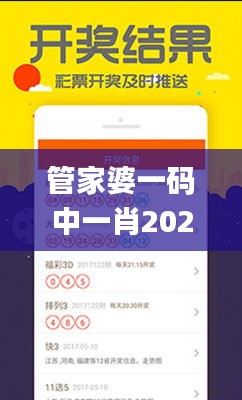 管家婆一码中一肖2024,专家解说解释定义_QBO86.628安全版