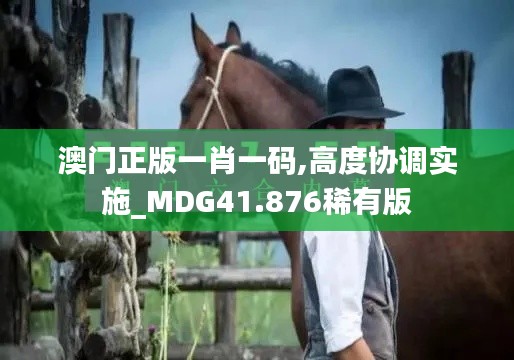 澳门正版一肖一码,高度协调实施_MDG41.876稀有版