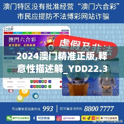 2024澳门精准正版,释意性描述解_YDD22.322抓拍版