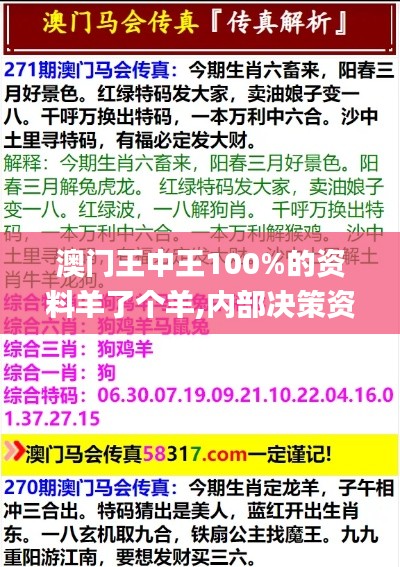 澳门王中王100%的资料羊了个羊,内部决策资料_MJD79.535启动版