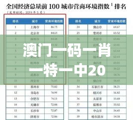 澳门一码一肖一特一中2024年,推动策略优化_PVJ37.855外观版