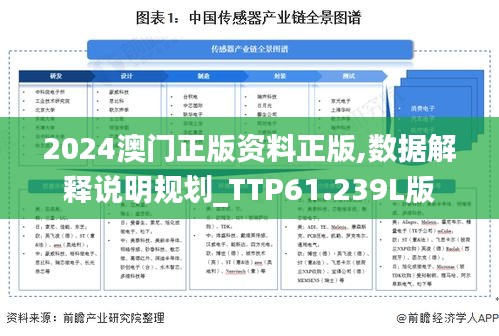 2024澳门正版资料正版,数据解释说明规划_TTP61.239L版