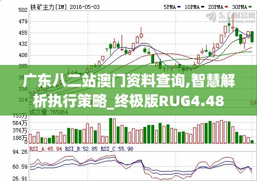 广东八二站澳门资料查询,智慧解析执行策略_终极版RUG4.48