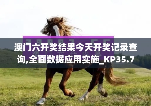 澳门六开奖结果今天开奖记录查询,全面数据应用实施_KP35.765-9