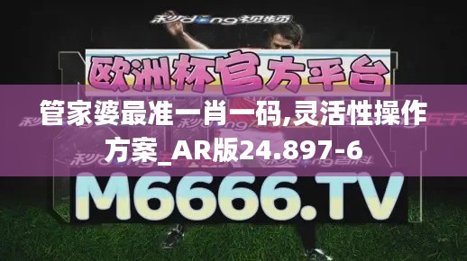 管家婆最准一肖一码,灵活性操作方案_AR版24.897-6