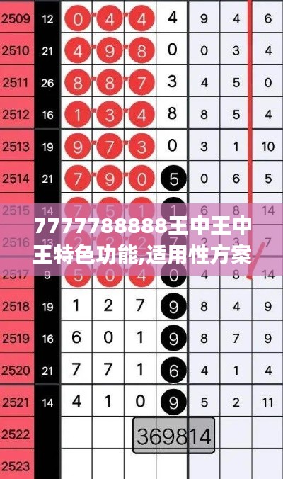 7777788888王中王中王特色功能,适用性方案解析_6DM159.454-6