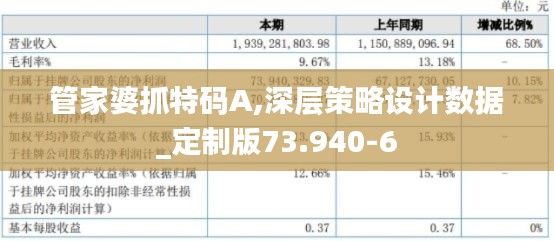 管家婆抓特码A,深层策略设计数据_定制版73.940-6