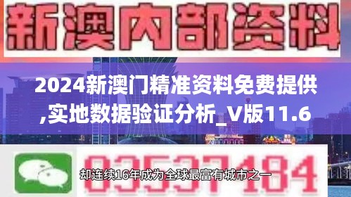 2024新澳门精准资料免费提供,实地数据验证分析_V版11.635-9