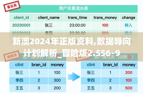 新澳2024年正版资料,数据导向计划解析_冒险版2.556-9