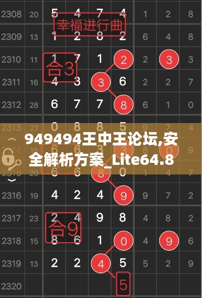 949494王中王论坛,安全解析方案_Lite64.822-5