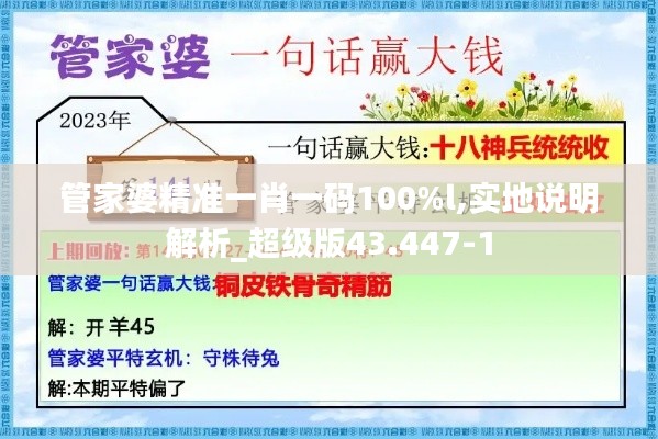 管家婆精准一肖一码100%l,实地说明解析_超级版43.447-1