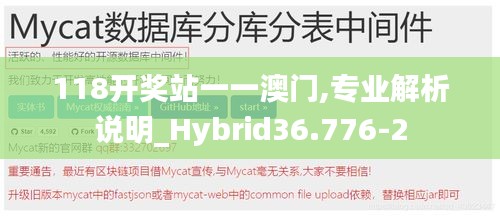 118开奖站一一澳门,专业解析说明_Hybrid36.776-2