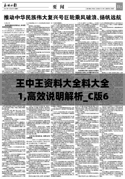 王中王资料大全料大全1,高效说明解析_C版69.309-8