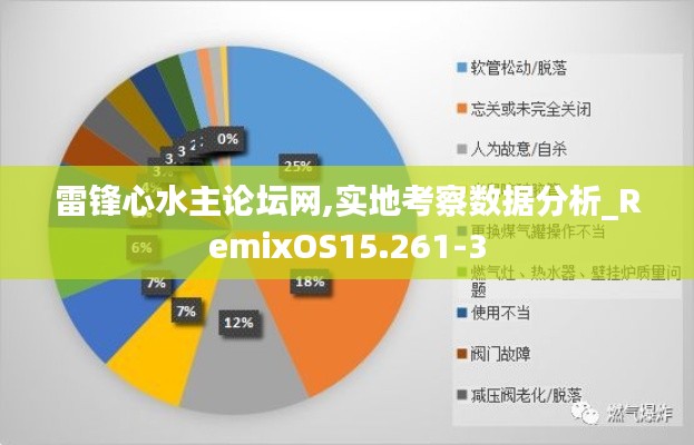 雷锋心水主论坛网,实地考察数据分析_RemixOS15.261-3