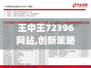 王中王72396网站,创新策略解析_AP50.530-7