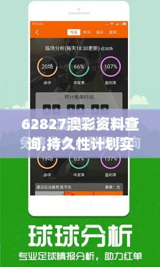 62827澳彩资料查询,持久性计划实施_6DM3.504