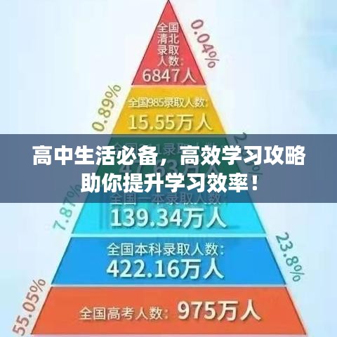 高中生活必备，高效学习攻略助你提升学习效率！