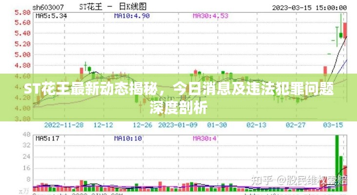 ST花王最新动态揭秘，今日消息及违法犯罪问题深度剖析