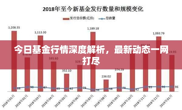 今日基金行情深度解析，最新动态一网打尽