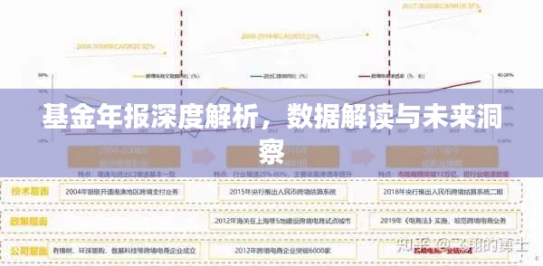 基金年报深度解析，数据解读与未来洞察