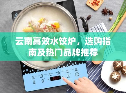 云南高效水饺炉，选购指南及热门品牌推荐