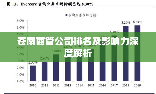 苍南商管公司排名及影响力深度解析