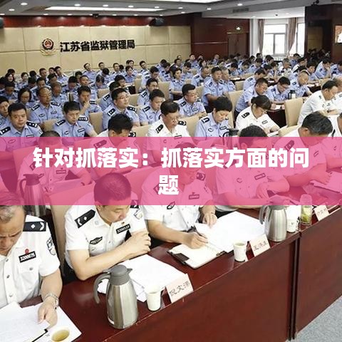 针对抓落实：抓落实方面的问题 