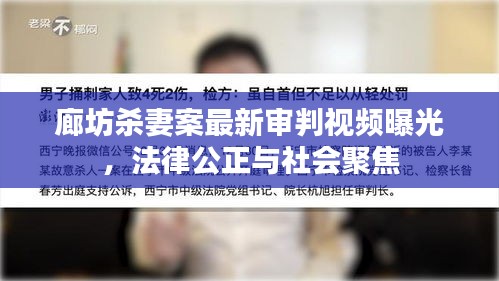 廊坊杀妻案最新审判视频曝光，法律公正与社会聚焦