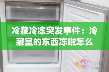 冷藏冷冻突发事件：冷藏室的东西冻啦怎么办 