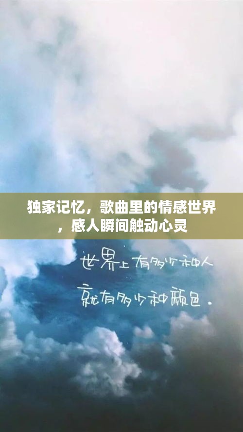 独家记忆，歌曲里的情感世界，感人瞬间触动心灵