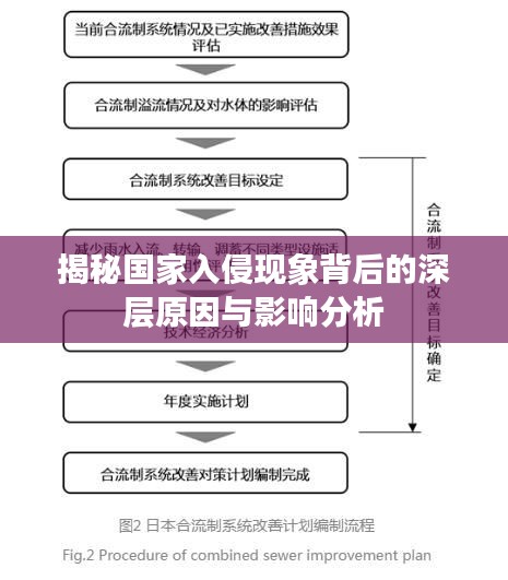 揭秘国家入侵现象背后的深层原因与影响分析