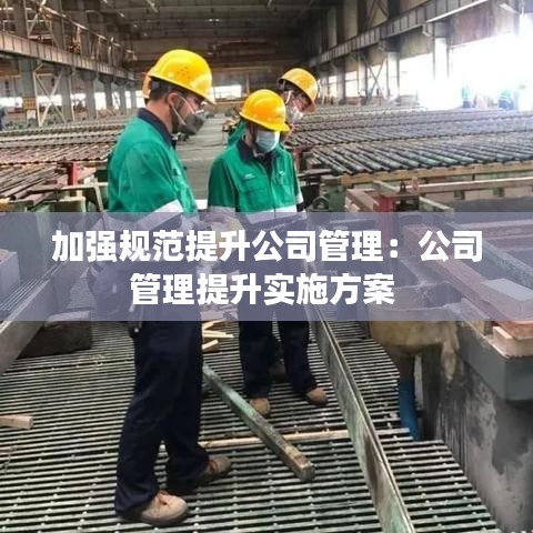 加强规范提升公司管理：公司管理提升实施方案 