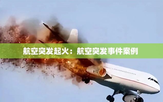 航空突发起火：航空突发事件案例 