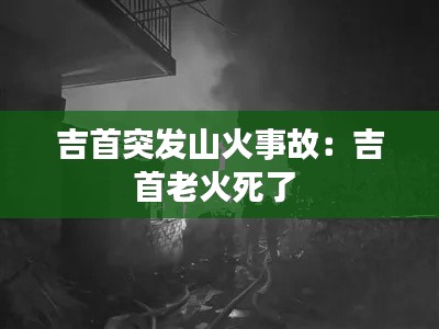 吉首突发山火事故：吉首老火死了 