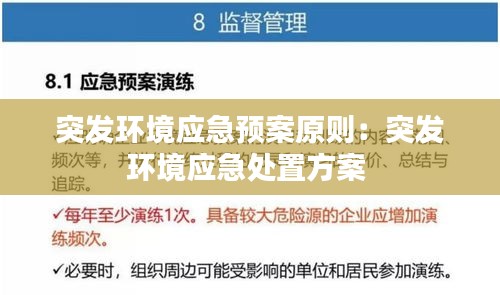 突发环境应急预案原则：突发环境应急处置方案 