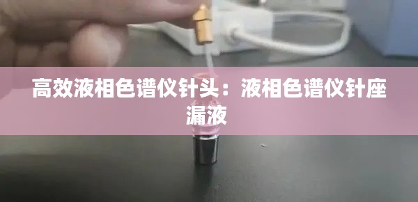 高效液相色谱仪针头：液相色谱仪针座漏液 