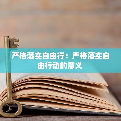 严格落实自由行：严格落实自由行动的意义 