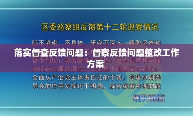 落实督查反馈问题：督察反馈问题整改工作方案 